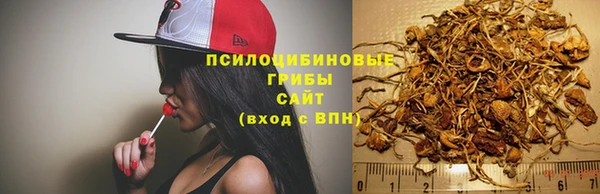 синтетический гашиш Абинск