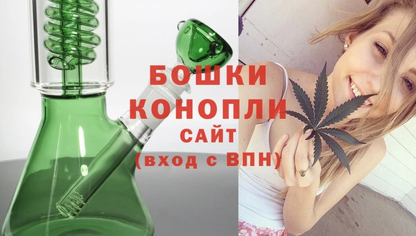 PSILOCYBIN Абаза