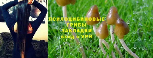 а пвп мука Алексеевка